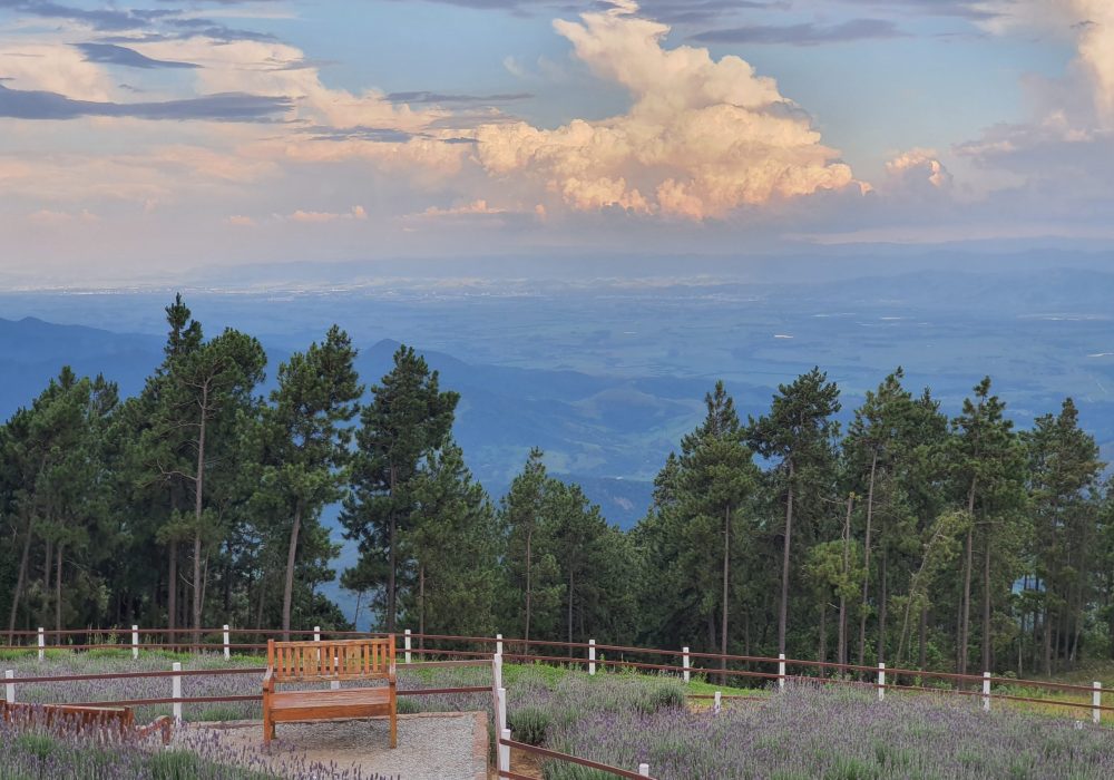 Campos do Jordão - São Paulo (2)