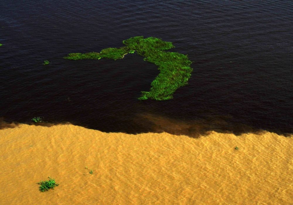 Encontro das Águas - Manaus - Amazonas (2)