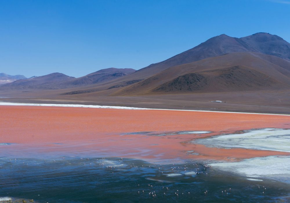 Laguna Colorada - Bolívia (2)