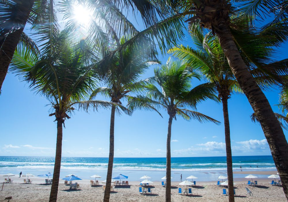Praia Salvador - Bahia (1)