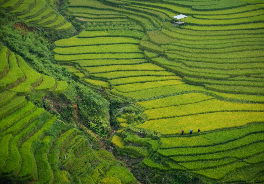 Cultura - Sudeste Asiático (2)