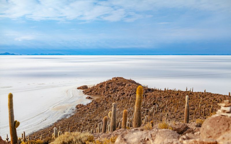 Ilha Incahuasi - Salar de Uyuni - Bolívia (2)