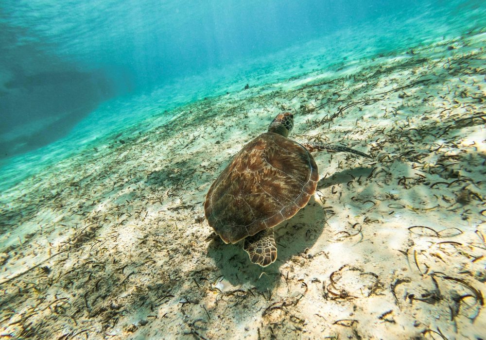 San Andrés - Colômbia